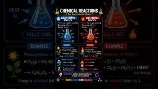 Endothermic vs Exothermic Reaction ⚡ Easy Explanation #scienceshorts #ncert #science