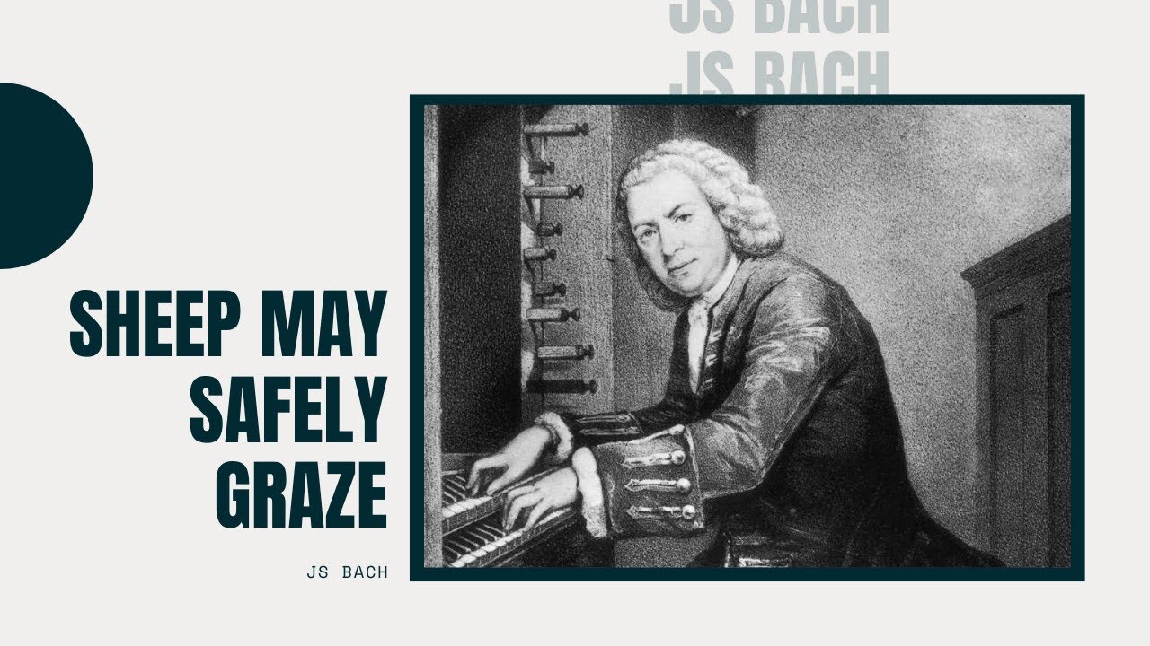Sheep May Safely Graze - JS Bach | Piano Tutorial + Sheet Music - YouTube