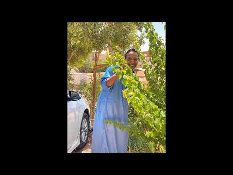 حفلة الدرر ابــــداع 