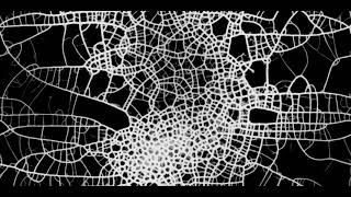 Physarum simulation no.5
