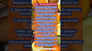 МЁД - ЭЛИКСИР ДОЛГОЛЕТИЯ!!! #зож #здоровье #мёд #еда #рецепты #витамины #факты #шортс