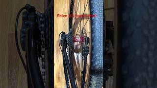 Trek Dual Sport With Enlee Hub mtb cycling