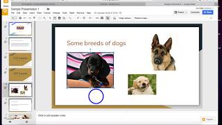 Google Slides - Crop Images