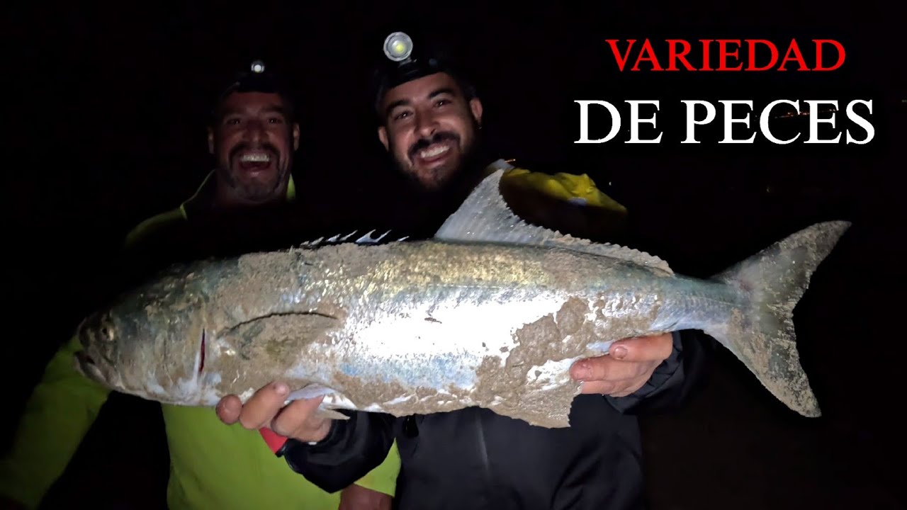 NOCHE EN VALDEVAQUEROS, SURFCASTING GRANDES CAPTURAS... SURFCASTING GRANADA 