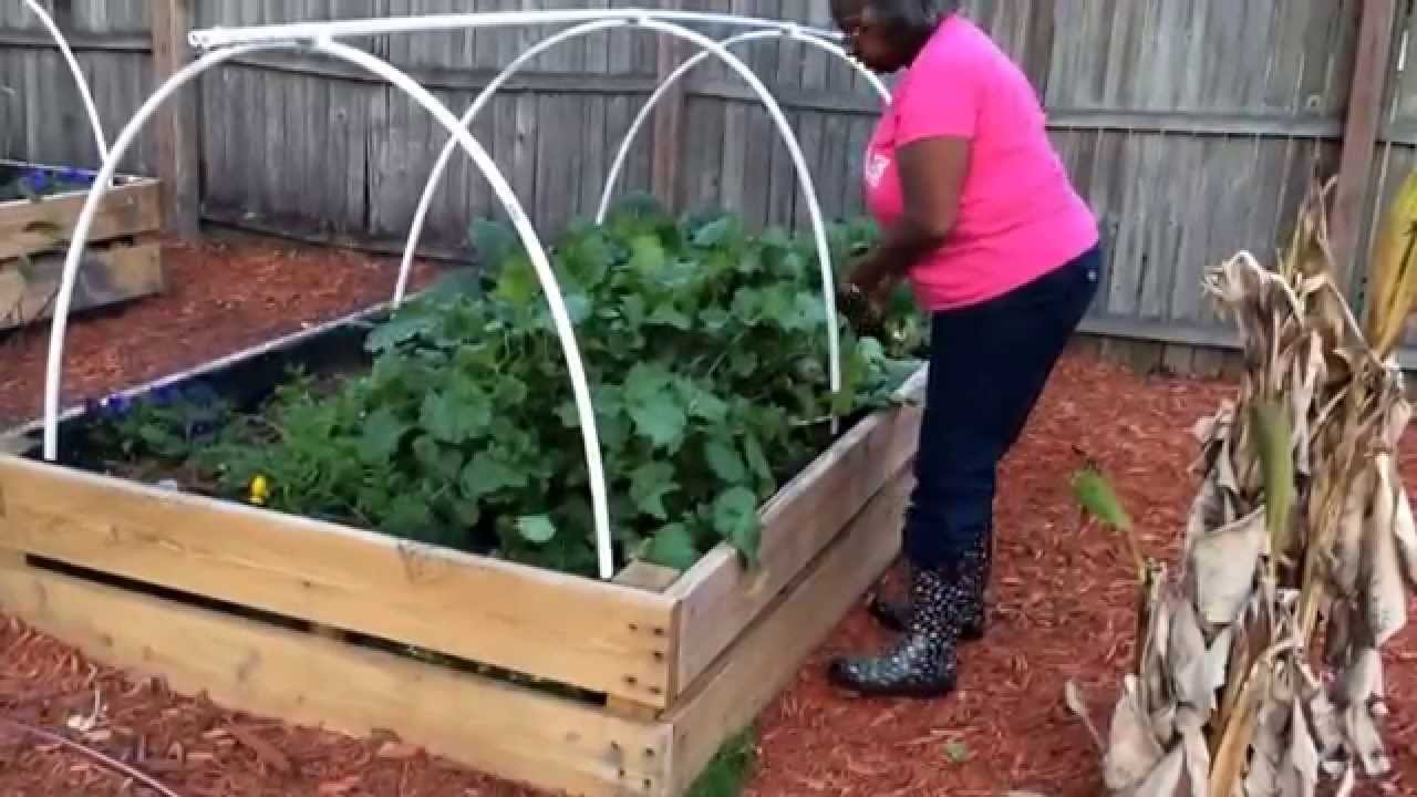 Raised Bed Gardening YouTube