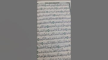 ما تيسر من سورة الذاريات #quran