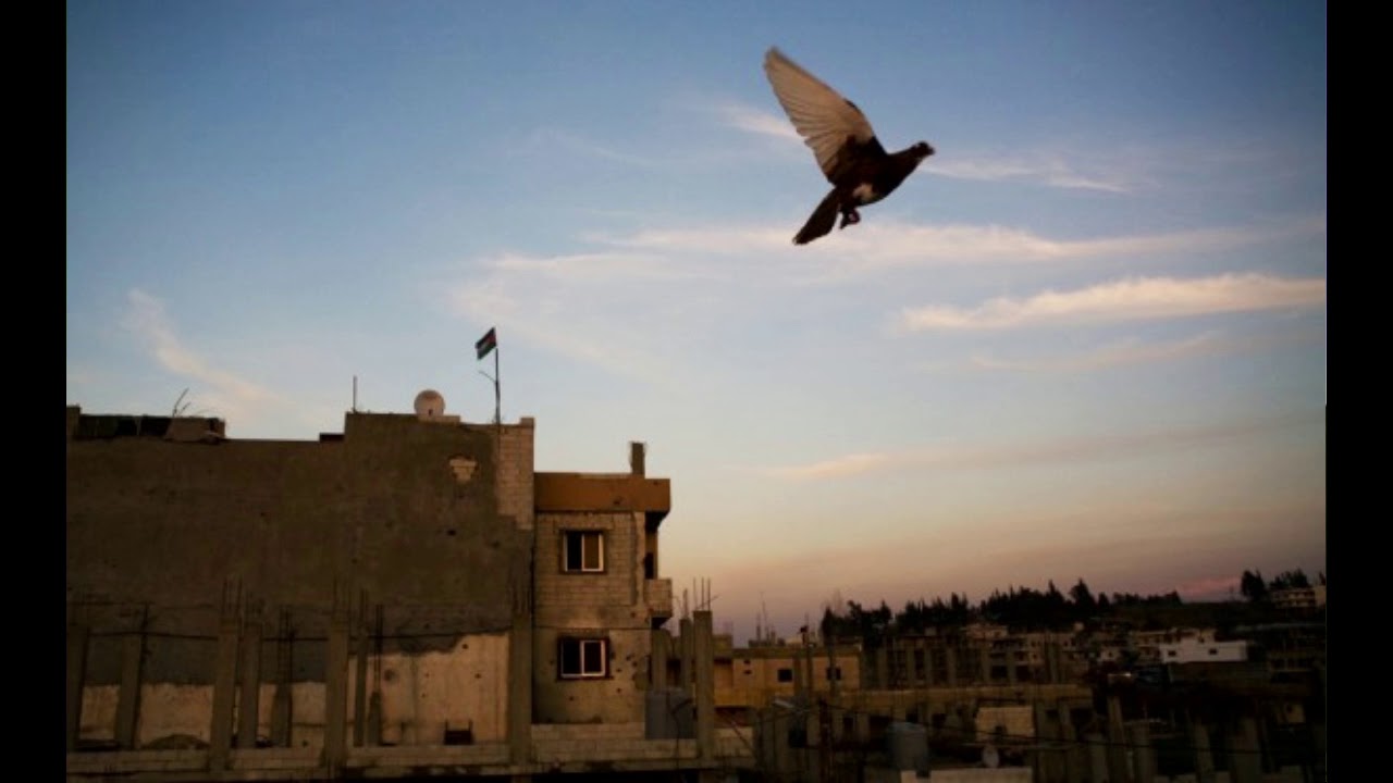 "Dear Ocean" - The Narcicyst and Stefan Christoff (2010)