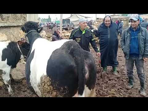 ݣاري ݣاري من الخميس سيدي محمد بن رحال