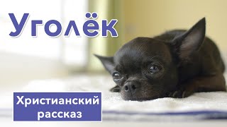 💜 Уголёк - ИНТЕРЕСНЫЙ ХРИСТИАНСКИЙ РАССКАЗ | Христианские рассказы