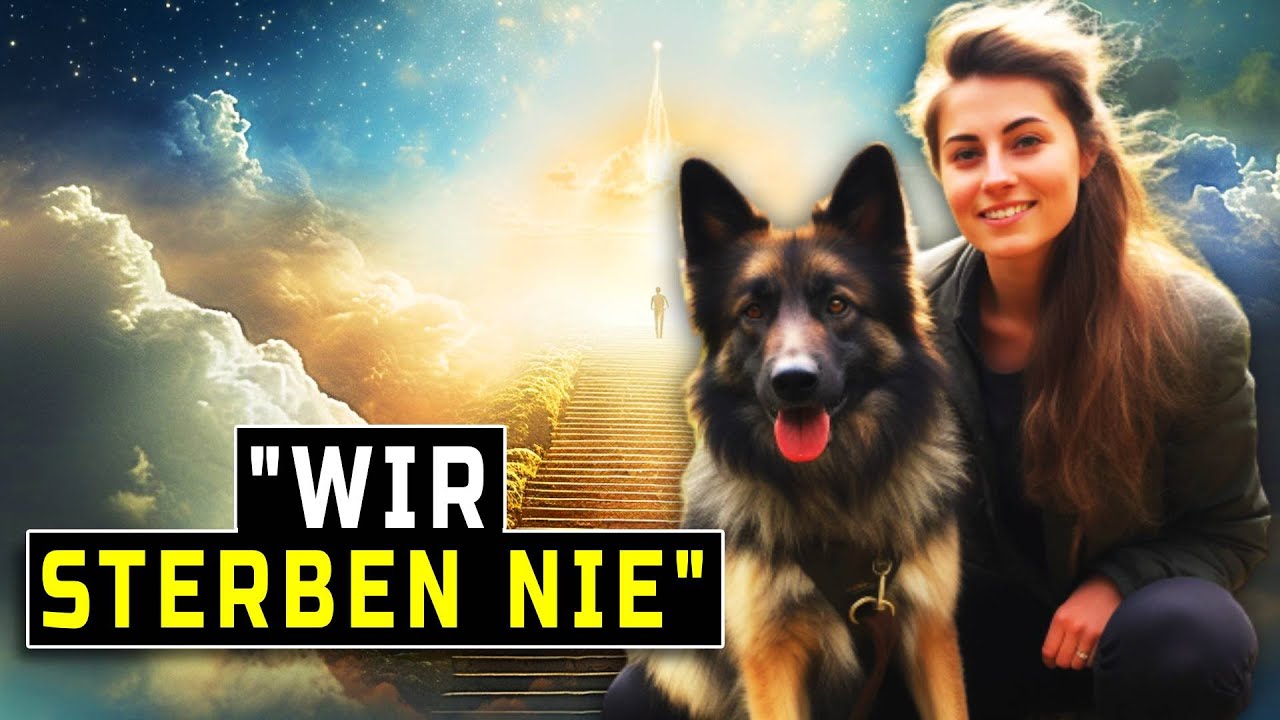 KLINISCH TOTE FRAU REIST INS JENSEITS UND KOMMT MIT EINER NACHRICHT VON GOTT ZURÜCK - Teil 1 NTE