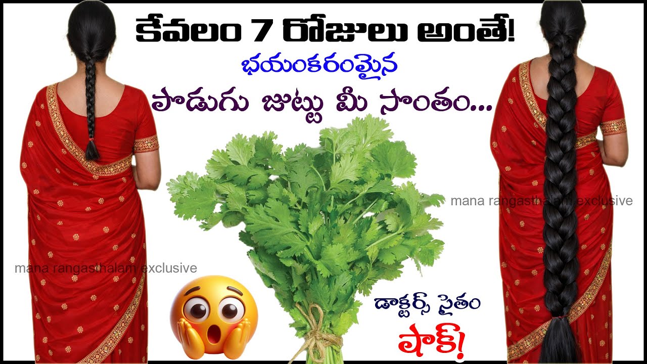 🌿 కొత్తిమీర మాయ 🌿🌿 కొత్తిమీర ఆకులతో ఇది కలపండి 💚 జుట్టు ఒత్తుగా నల్లగా పొడవుగా🚀 పెరుగుతూనే ఉంటుంది 💯