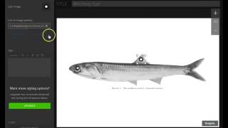 Annotate Images with Thinglink