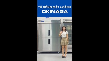 TỦ ĐÔNG MÁT 4 CÁNH OKINAGA - TỦ ĐÔNG QUẠT GIÓ MẠNH MẼ, BỀN BỈ