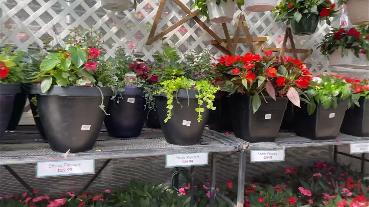 Buying some plants at Gasper Home and Garden Nursery Store in Pa