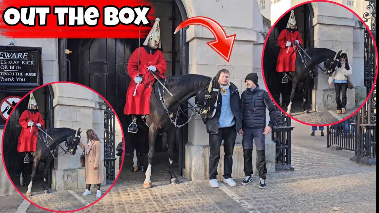 “Intelligent King’s Horse Surprises Everyone — Priceless Tourist Reactions! Royal Guard, Kings Guard