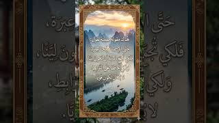 Chinese quotes Arabic #wisdom