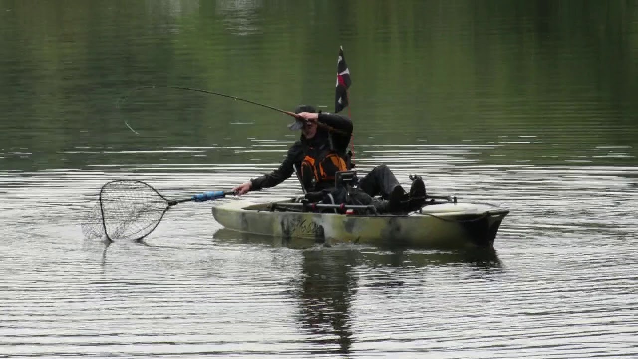 King Salmon Jumps Into my Kayak YouTube