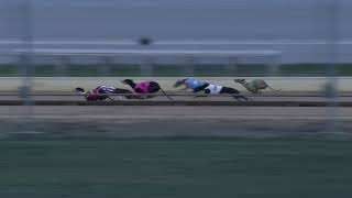 WGL SAT 23 MAR 19 R5