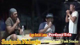 lagu batak lama terbaik | Perdana Trio ~ Soripada Naburju