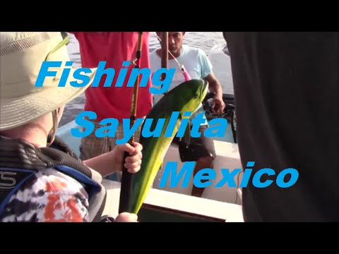 Mahi Fishing amongst the Whales in Sayulita Mexico