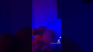 The Koopalings House Party