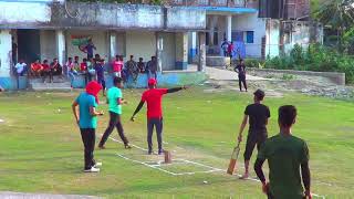 PIPULBARIA SHORT CRICKET 2024