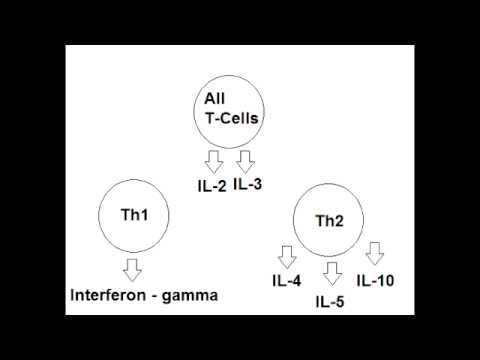 Video: Heterogen Induksjon Av Microglia M2a-fenotype Ved Sentral Administrering Av Interleukin-4