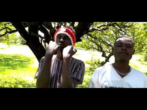 ELI MALLON MALAVIDAVI OFFICIAL VIDEO MUSIC 