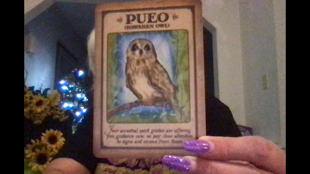 CAPRICORN:THIS INJUSTICE BEING DONE TO YOU HAS INCITED A RAGE ALL THE WAY TO HEAVEN/VINDICATION