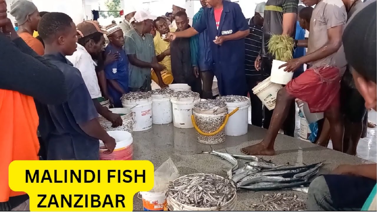 DIKO NA SOKO LA SAMAKI MALINDI  FISH MARKET |  DHOWS |  ZANZIBAR | TANZANIA - 22 | BINU