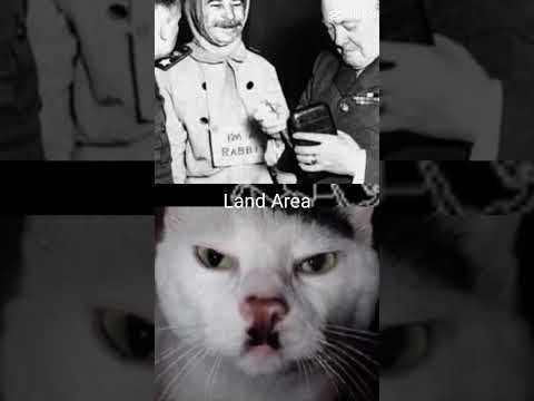 Adolf Kitler vs Rabbit Stalin part 2(Final) | #shorts #ww2 - YouTube