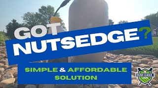 Simple & Affordable Nutsedge Control