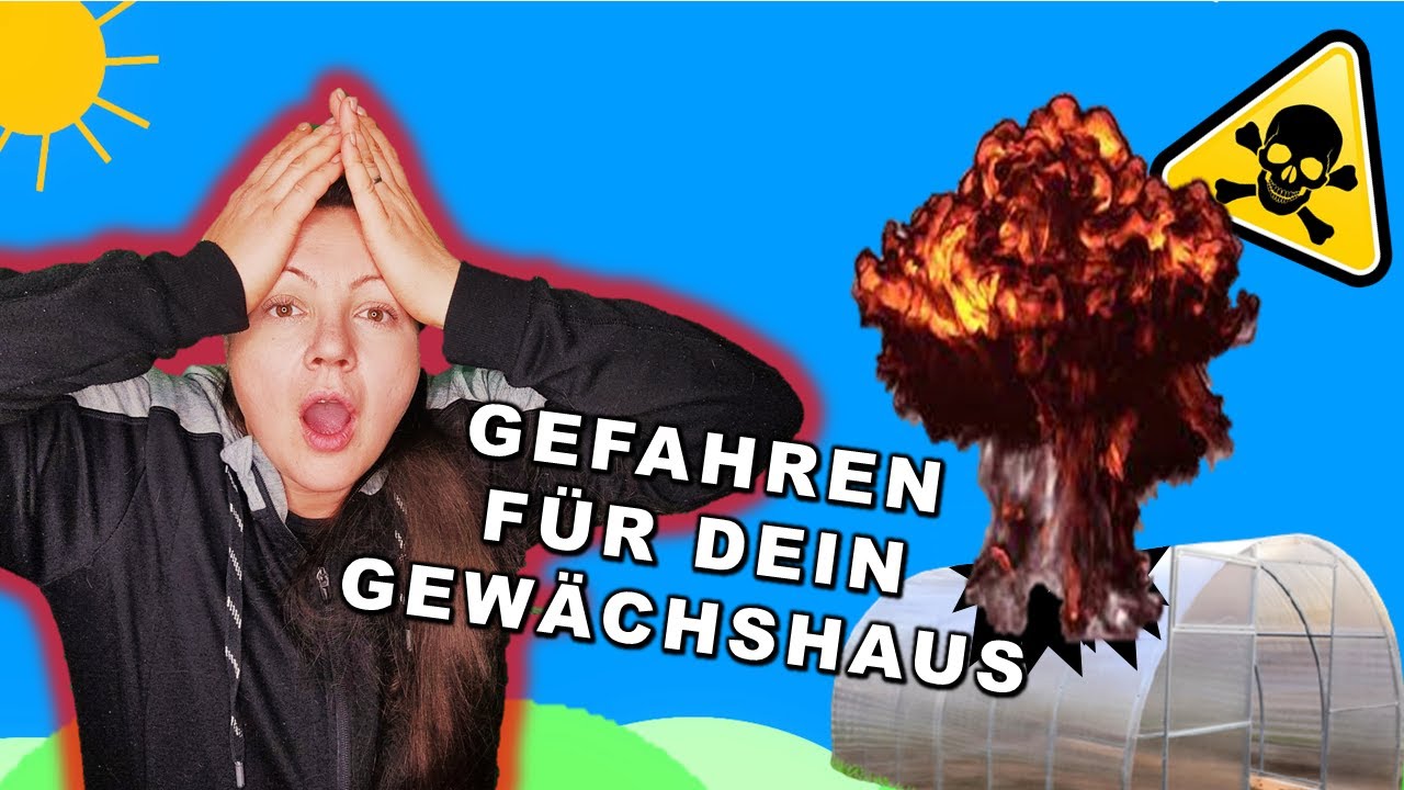 Gewächshaus Schwefeln? 14 Sachen, die dein Gewächshaus ruinieren + Bio-Alternativen