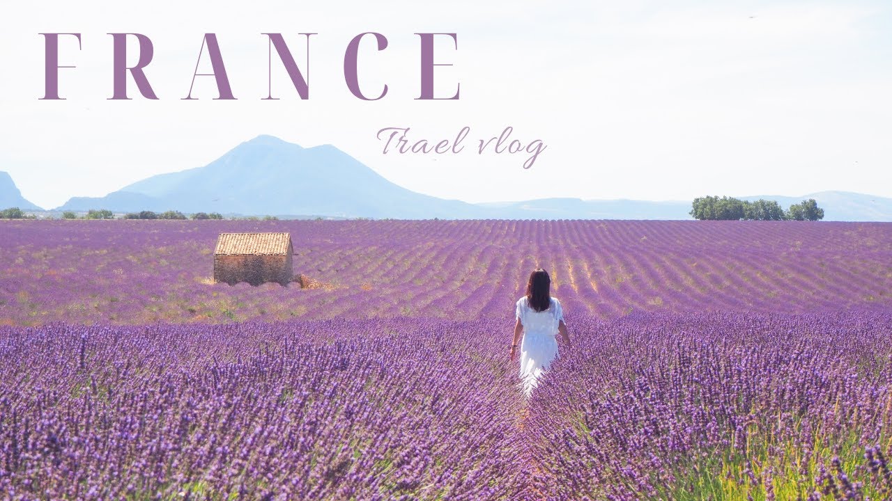 Summer Family Trip To Lavender Fields In Southern France Lovely Hotel And Village Travel Vlog Youtube