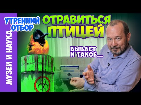 Два вида птиц пополнили список ядовитых животных. Ядовитые птицы далекие и близкие. Игорь Фадеев