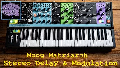 Moog Matriarch: Exploring Stereo Delay and Modulation