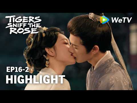 [Highlight] Tigers Sniff the Rose EP16｜Yan Shang's Confession｜Watch NOW on WeTV！