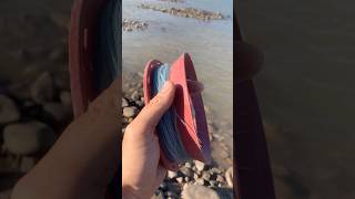 Ah tiens , un requin dans la rivière !! #lesvideosdeloic #nature #animaux #requin #peche