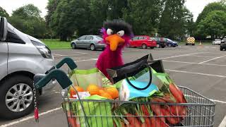 Absolutely ragin'! Litter loathing puppet tackles plastic bags