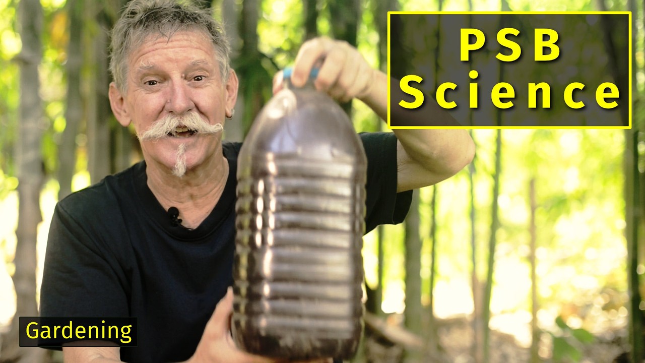 PSB Starter или No Starter: какой метод лучше (и почему)?