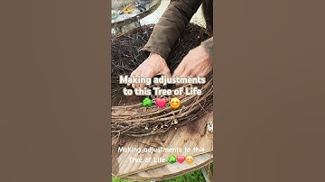 Making adjustments to this Tree of Life 🌳 ❤️ 😊  #create #creator #nature #vine #wreath #shorts