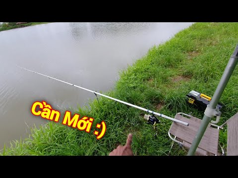 Câu Lục | Khai Trương Cần Mới - Tăm Cày Xung Quanh Phao