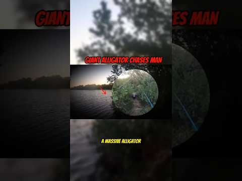 Giant ALLIGator Attacks 22 YEAR OLD Fisherman in Florida! (Watch Till the End)