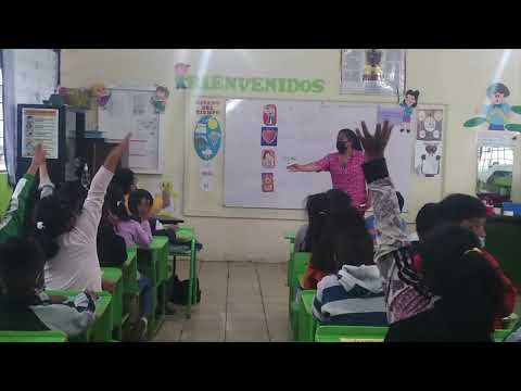 Clases Aquí  entre profes. Área Lengua y Literatura - Subnivel EGB Media