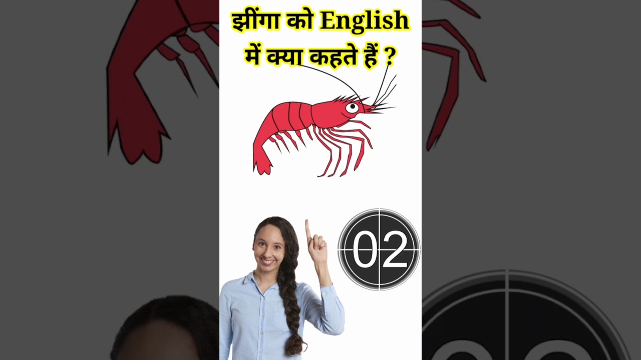 झींगा को English में क्या कहते हैं 