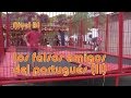 Comprensión del Español y sus Sutilezas