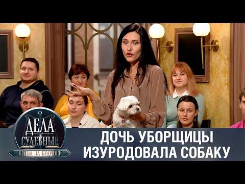 Видео: Альпака усыплена?