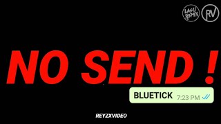 STORY WA NO SEND BLUETICK | ReyzxVideo™