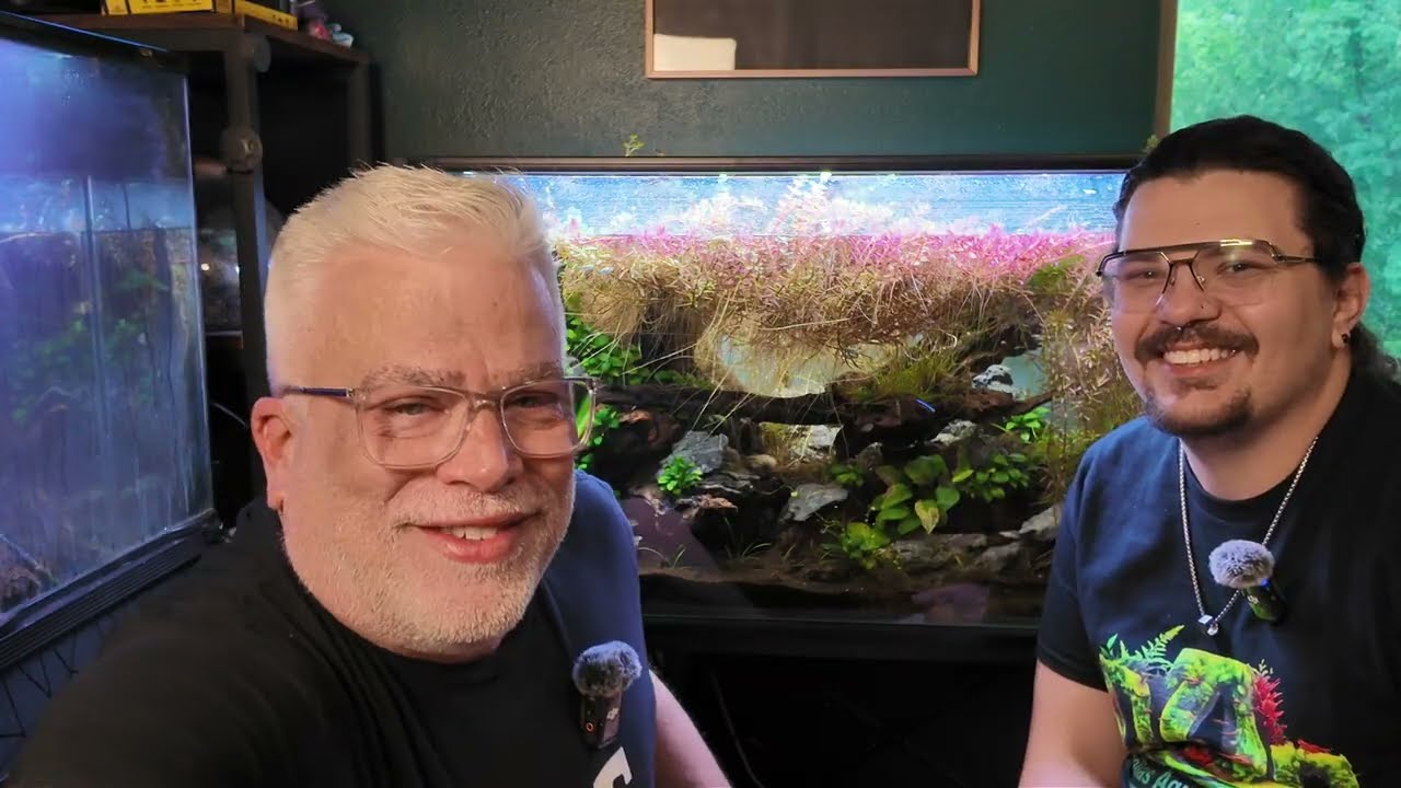 Salvaging Taylor's Aquascape... Can we? :-)