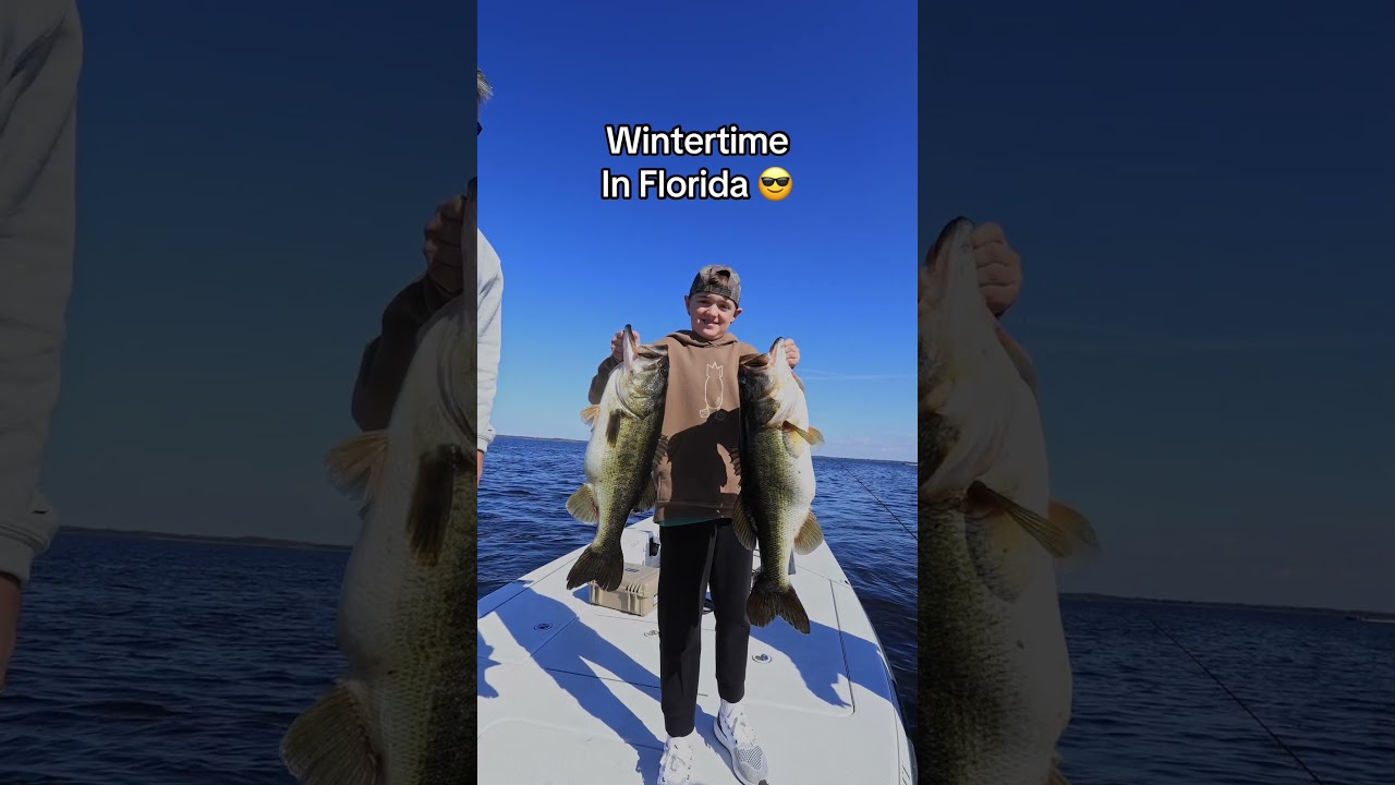 Компания Toho выпустила продукцию этой зимой! 